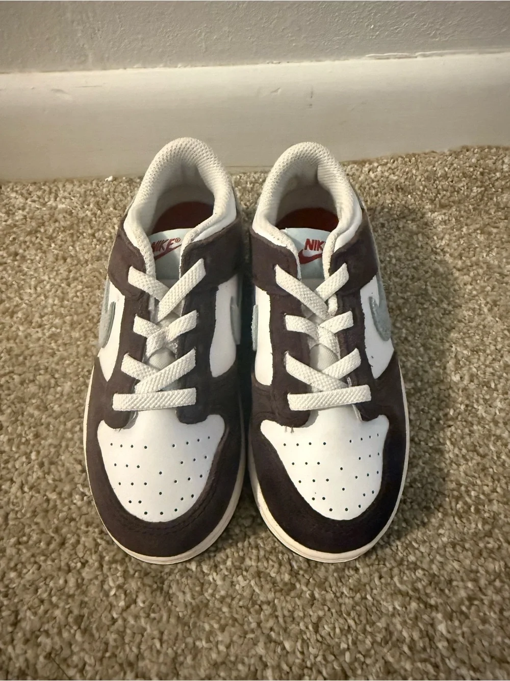 Kids Nike Dunk Lows